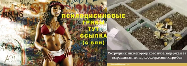 a pvp Абаза
